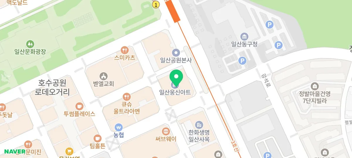 일산 애견미용학원 2026년 선택 가이드: 실견 실습 장점은?