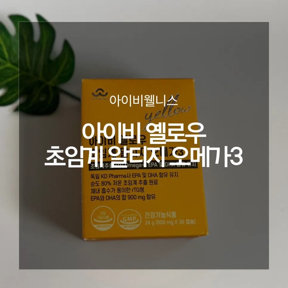눈 건강 관리 2026: 노안 증상 완화와 기억력 개선을 위한 오메가3 선택법