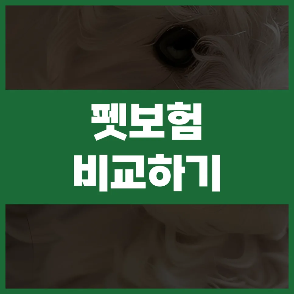 2026년 펫보험 추천: 우리 아이 맞춤 보장 찾는 법
