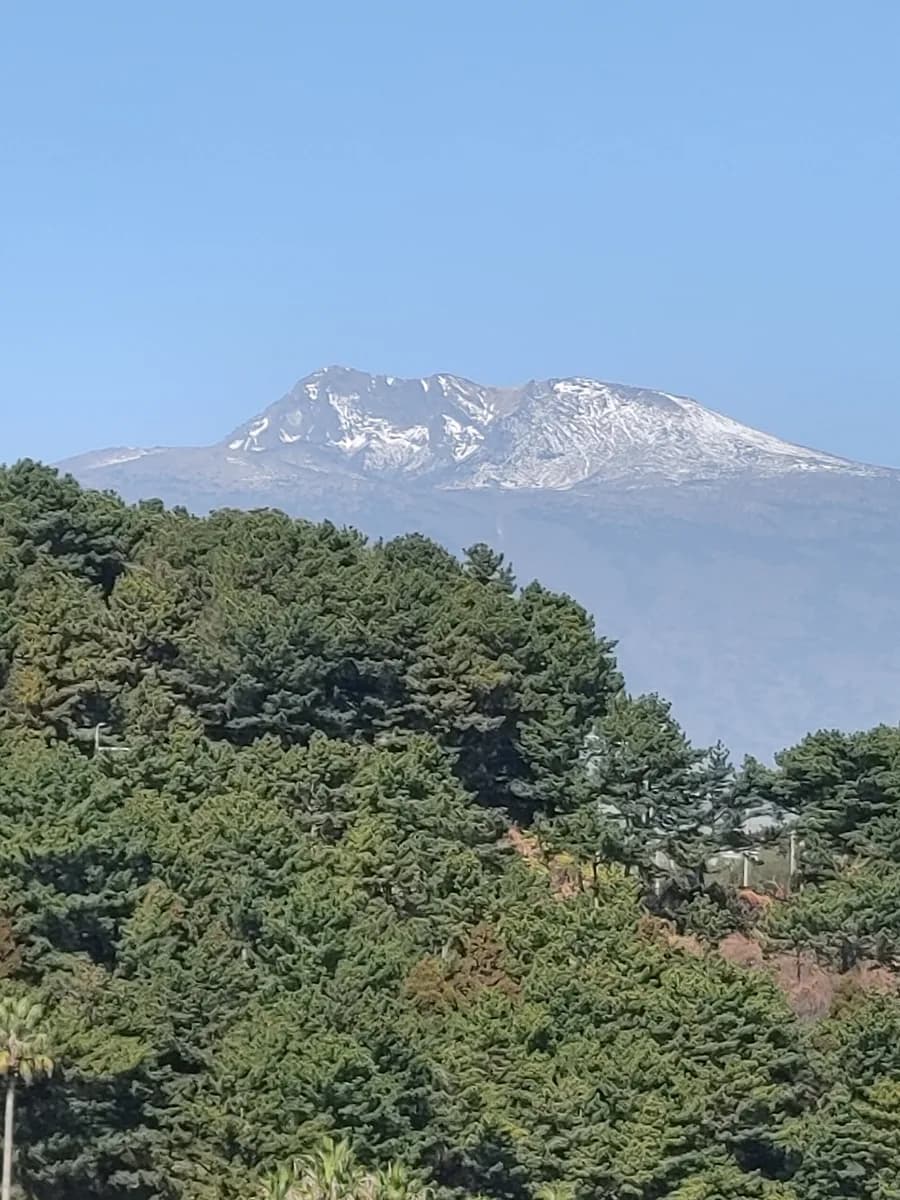 서귀포 새섬공원 2026: 새연교 야경과 겨울 풍경 완벽 가이드