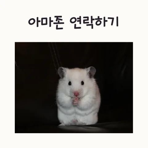 아마존 계정 잠김 해결 방법: 2026년 전화 없이도 풀 수 있을까?
