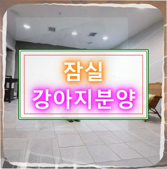 8주 골든 리트리버 입양 후기: 잠실 분양 조건과 사회화 팁 2026