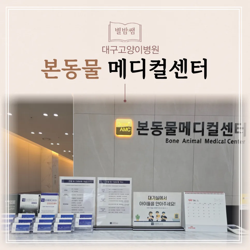 대구 고양이 건강검진 2026: 본동물메디컬센터 후기 및 비용 비교