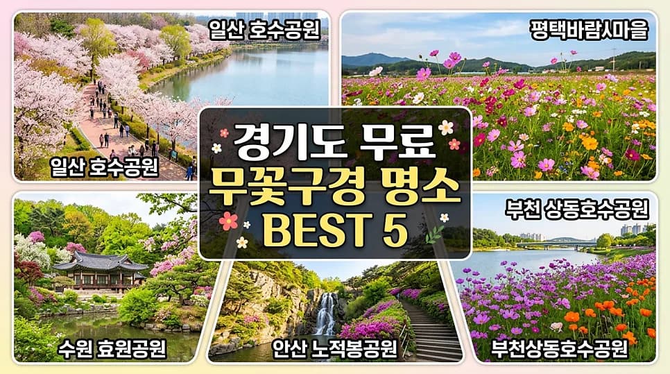 경기도 무료 꽃구경 명소 5곳: 2026년 봄나들이 최적 코스