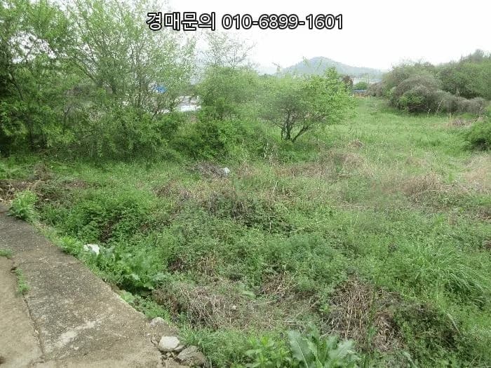 여수 율촌면 농지 경매, 2026년 5월 4일 최저가 70% 도전!