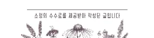 체온 다이어트 2026: 10kg 감량 비결과 실제 후기