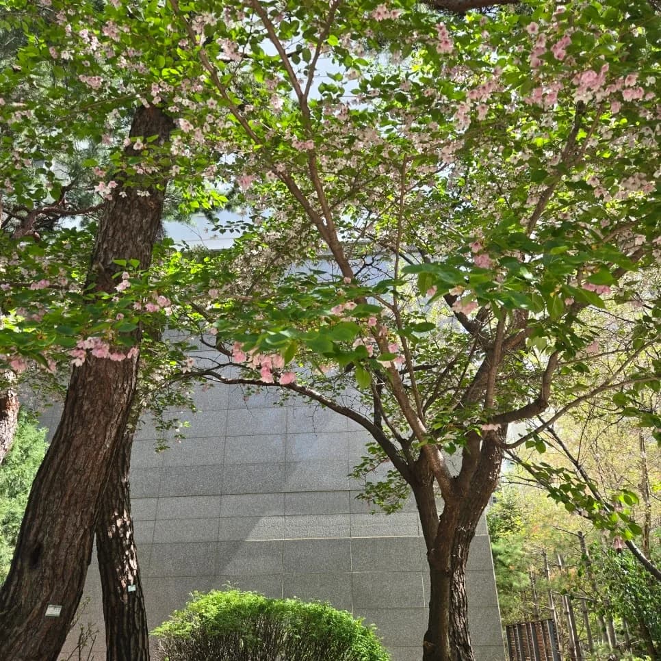 광교 전세 계약 중도 해지: 보증금 반환 문제 해결 2026