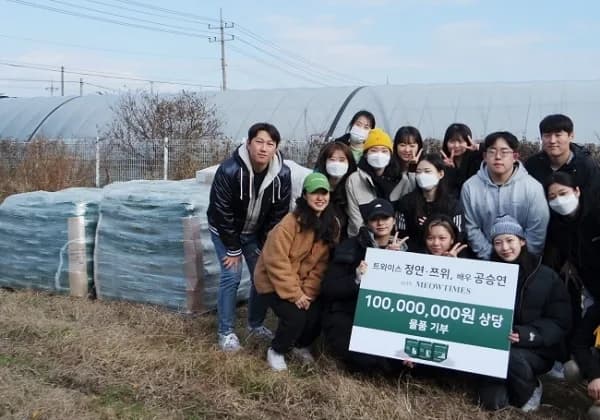 2026년 고양이 습식사료 기호성 높이는 비법: 주식캔/파우치 선택 가이드