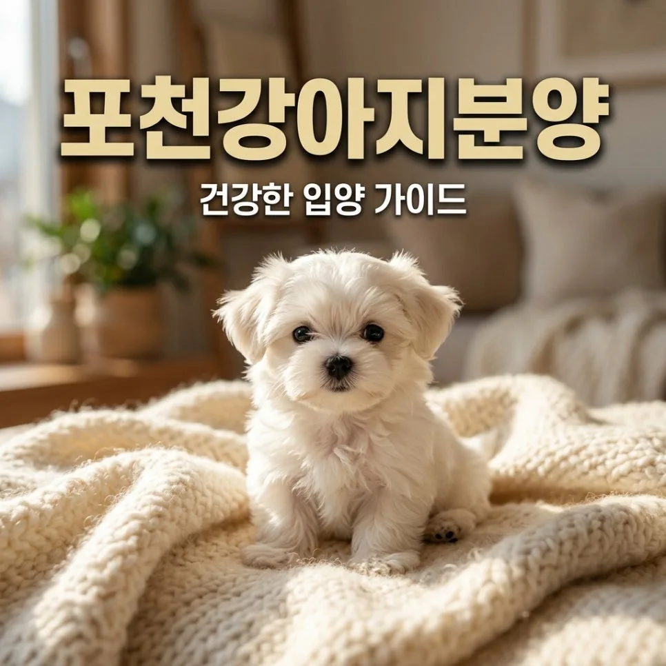 포천 강아지 분양 2026: 건강한 반려견 찾는 5가지 핵심 체크리스트