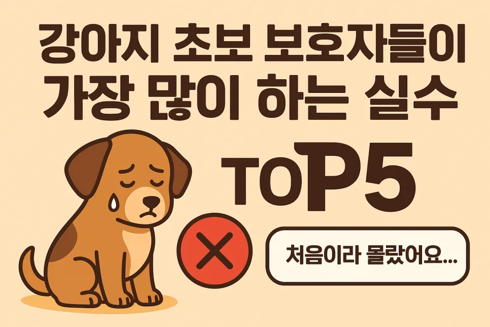 2026년 강아지 초보 보호자 실수 TOP5: 경험자가 알려주는 필수 체크리스트