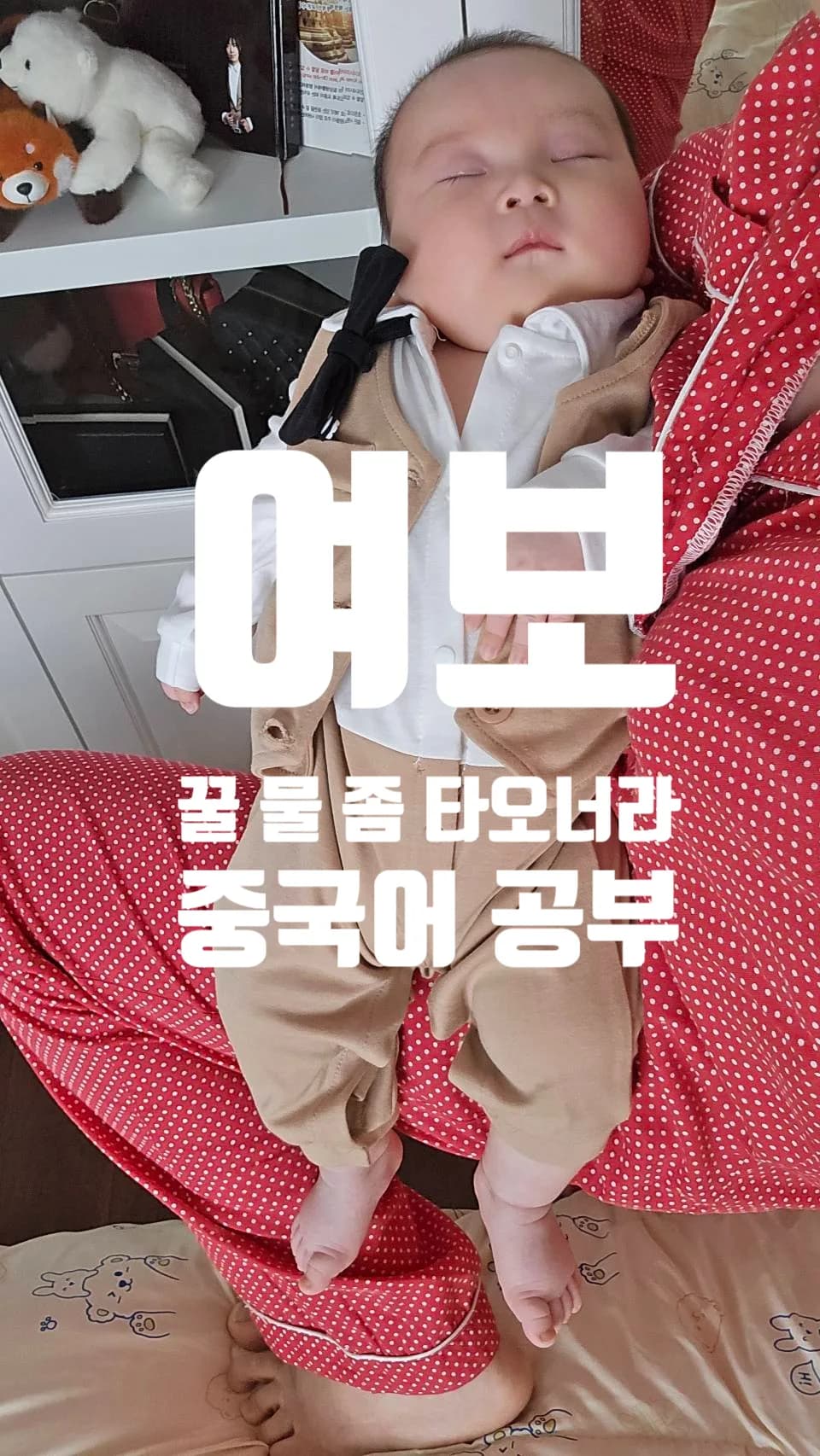 중국어 공부 명언 2026: 기름값 상승 속 여성 정치인 지혜 배우기