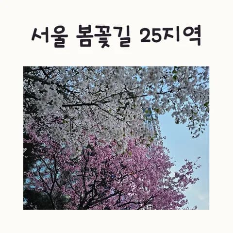 서울 봄꽃길 명소 2026: 숨겨진 벚꽃 명소 25곳 추천
