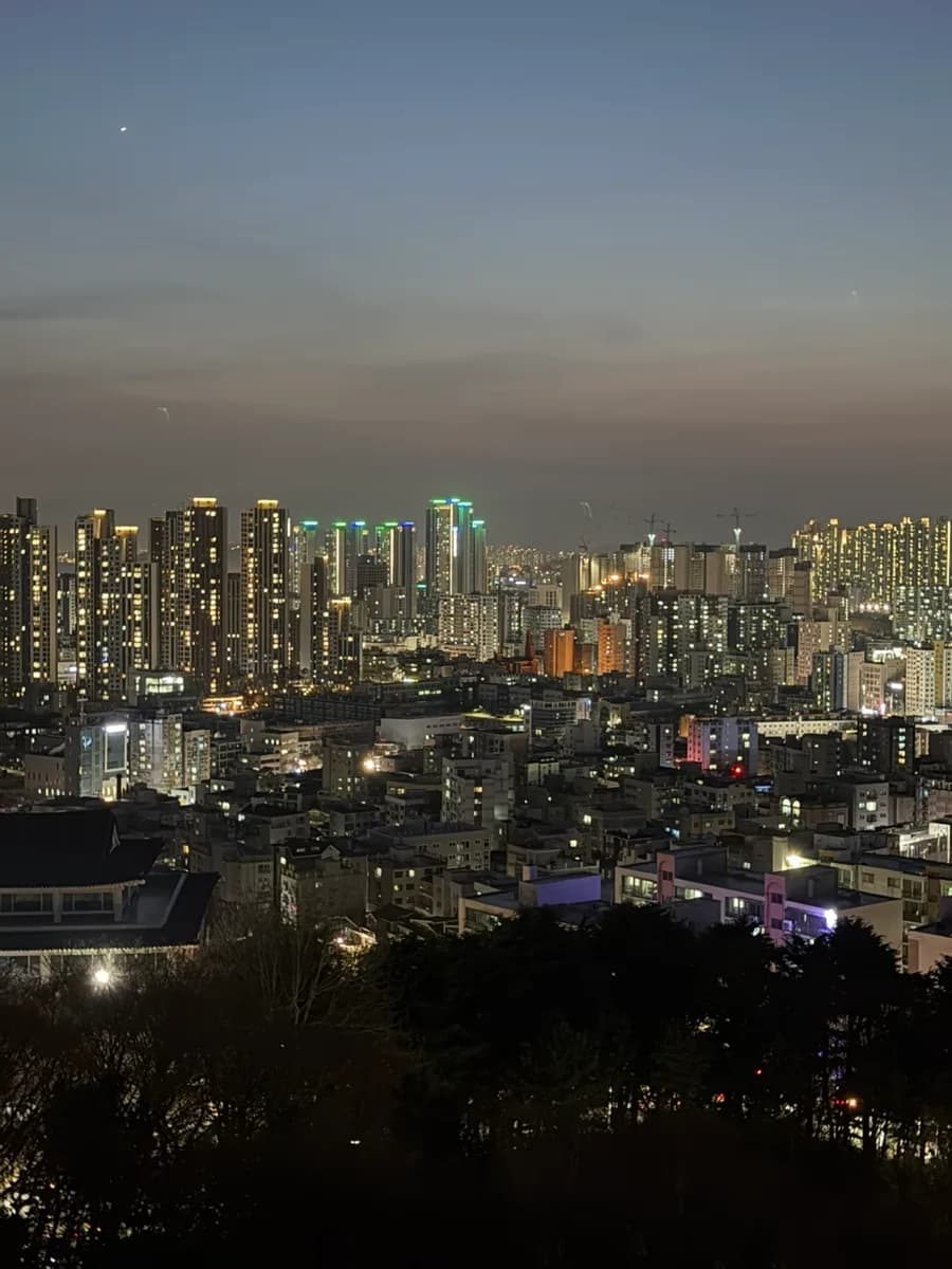 인천 수봉공원 벚꽃 명소 2026: 스카이워크 야경과 주차 꿀팁