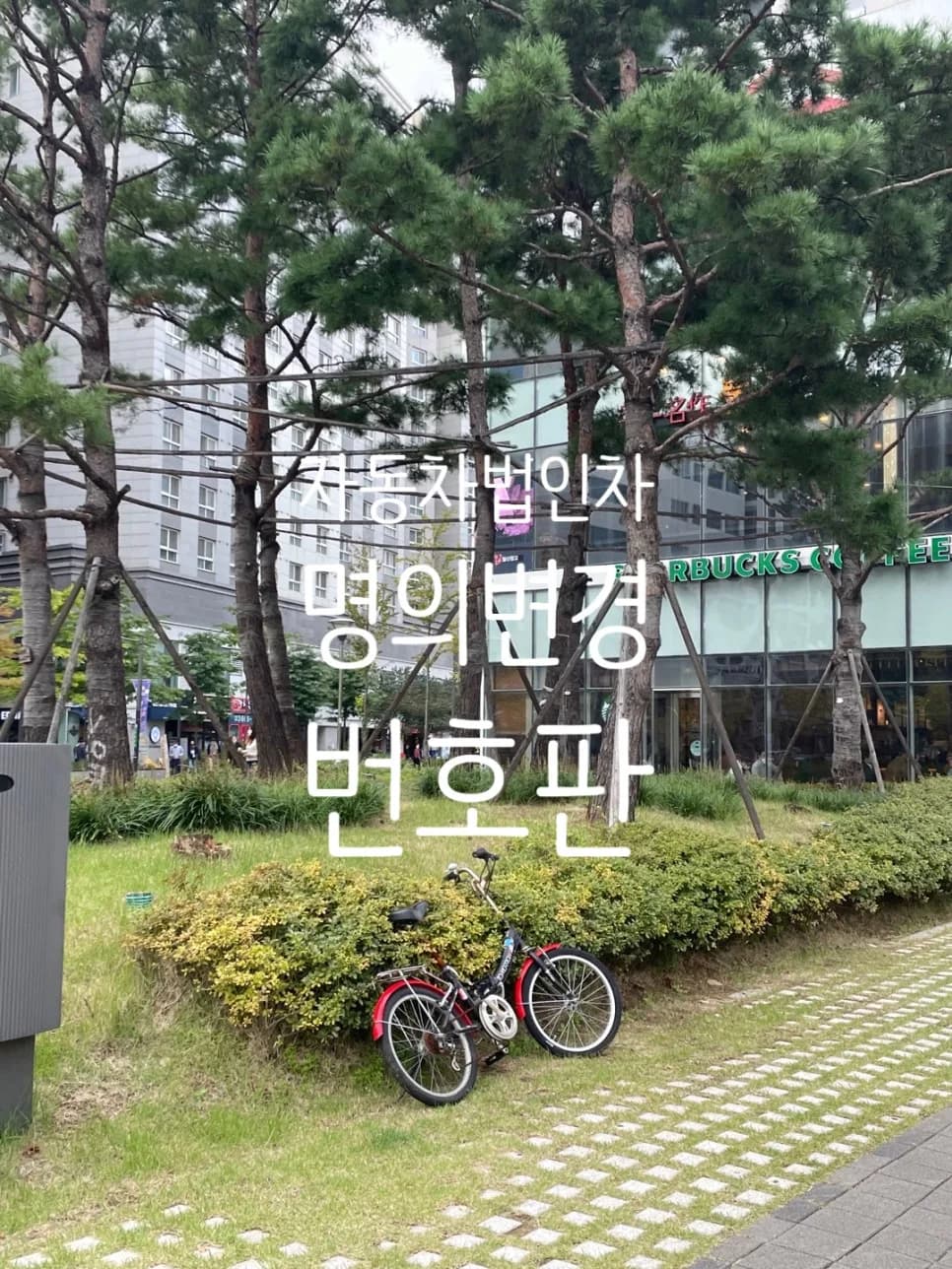 법인차량 명의이전·번호판·보험 완벽 정리 (2026년 최신 정보)