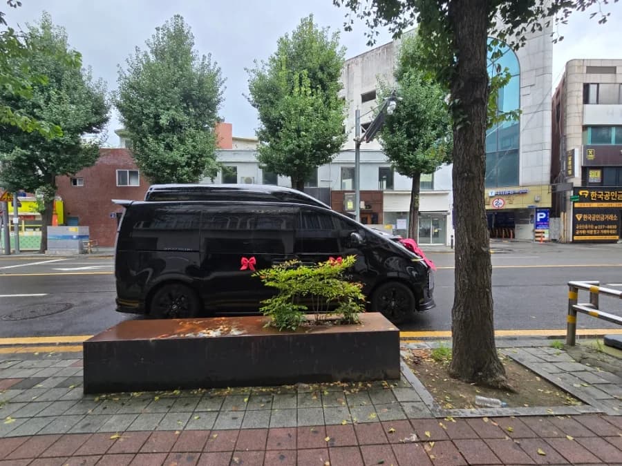광주 웨딩카 하프 코스 2026: 하이리무진 예약 방법 및 후기