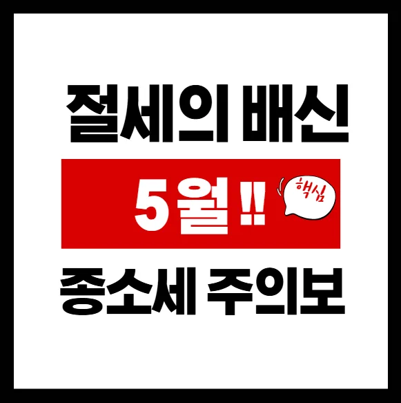 종소세 신고 전 필독! 절세와 정책자금 동시 잡는 법 2026