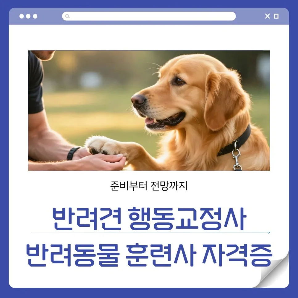 반려견 행동교정사 자격증 전망과 취업 성공 전략 2026