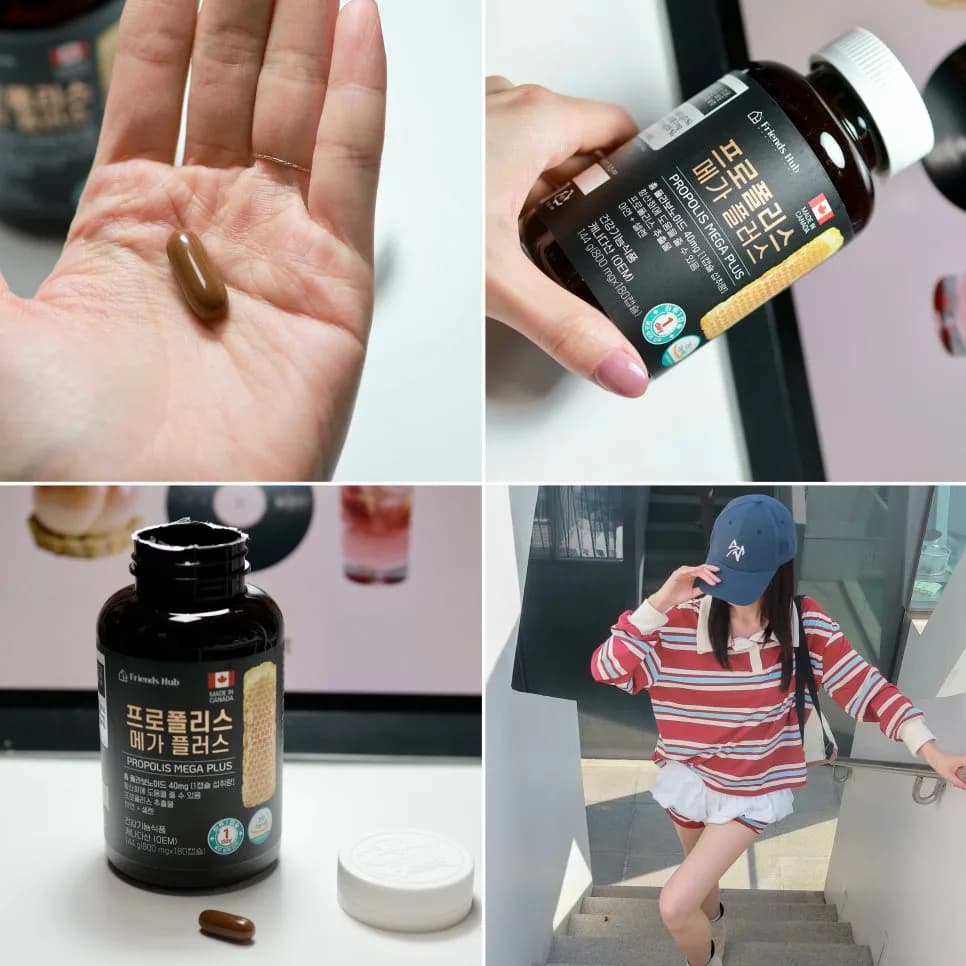 프로폴리스 플라보노이드 40mg, 면역력 강화 효과와 섭취 가이드 2026