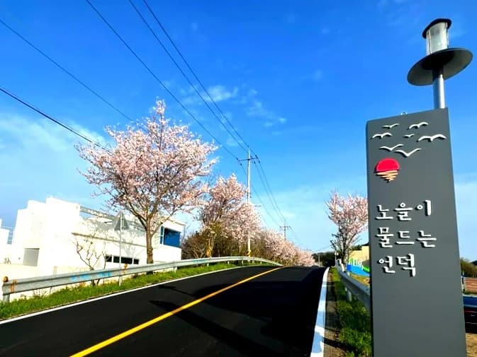 거제 가조도 벚꽃길 & 노을 명소 2026년 완벽 가이드
