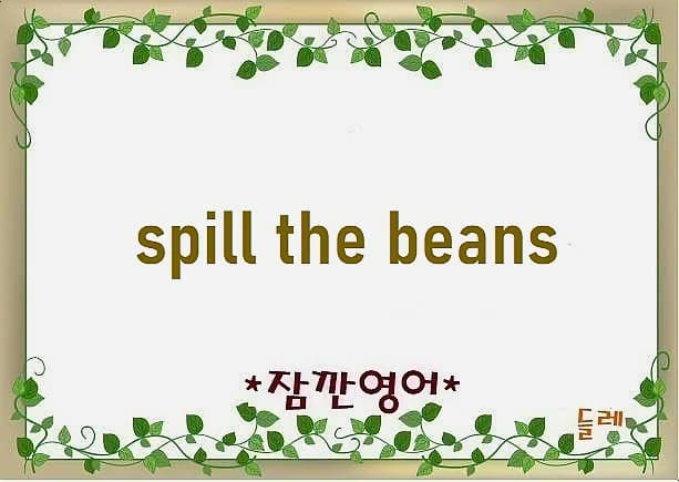 Spill the Beans 뜻: 비밀 누설 유래와 활용법 2026