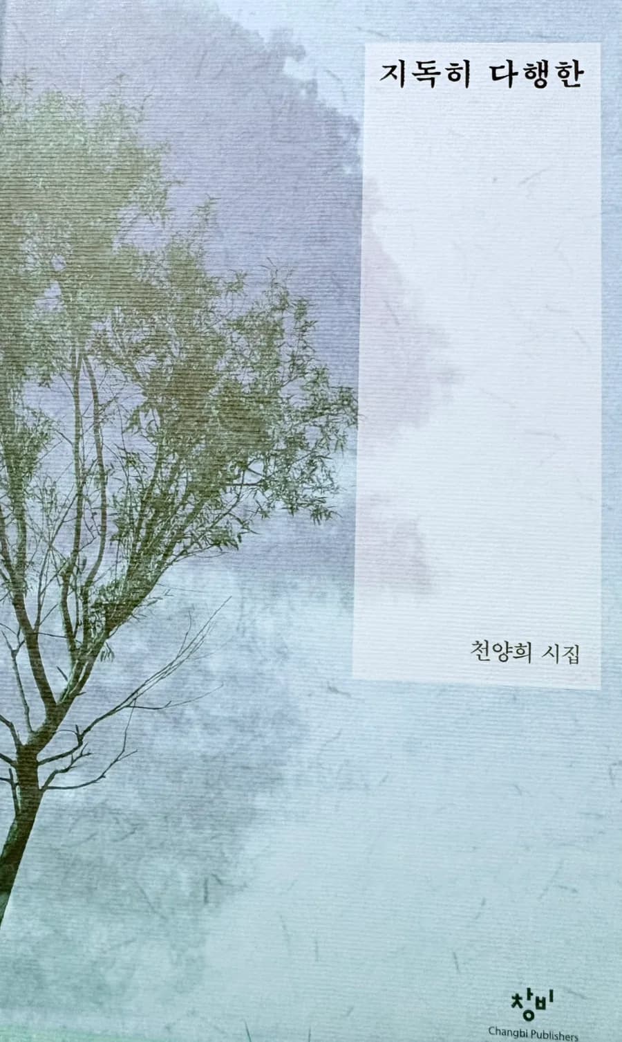 천양희 시 '집으로의 여행' 의미와 해석 2026년 총정리