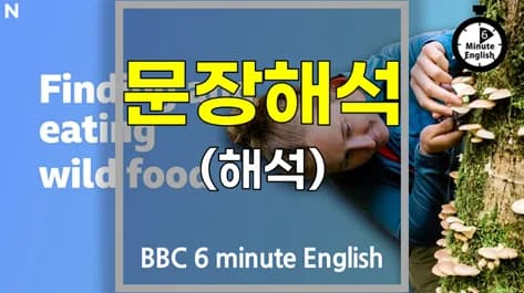 야생 식용 식물 채집 2026: BBC 6분영어 핵심 정리
