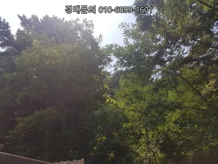 강화군 토지 경매 2026: 농림지역 복합 토지 투자 가치 분석