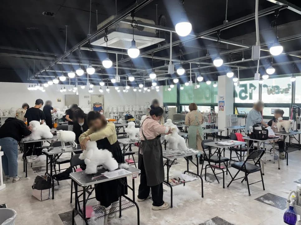 2026년 애견미용학원 선택 가이드: 창업 성공률 높이는 방법