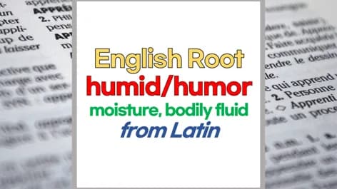 영어 단어 humor, humid 어원: 라틴어에서 온 습기와 기분 2026