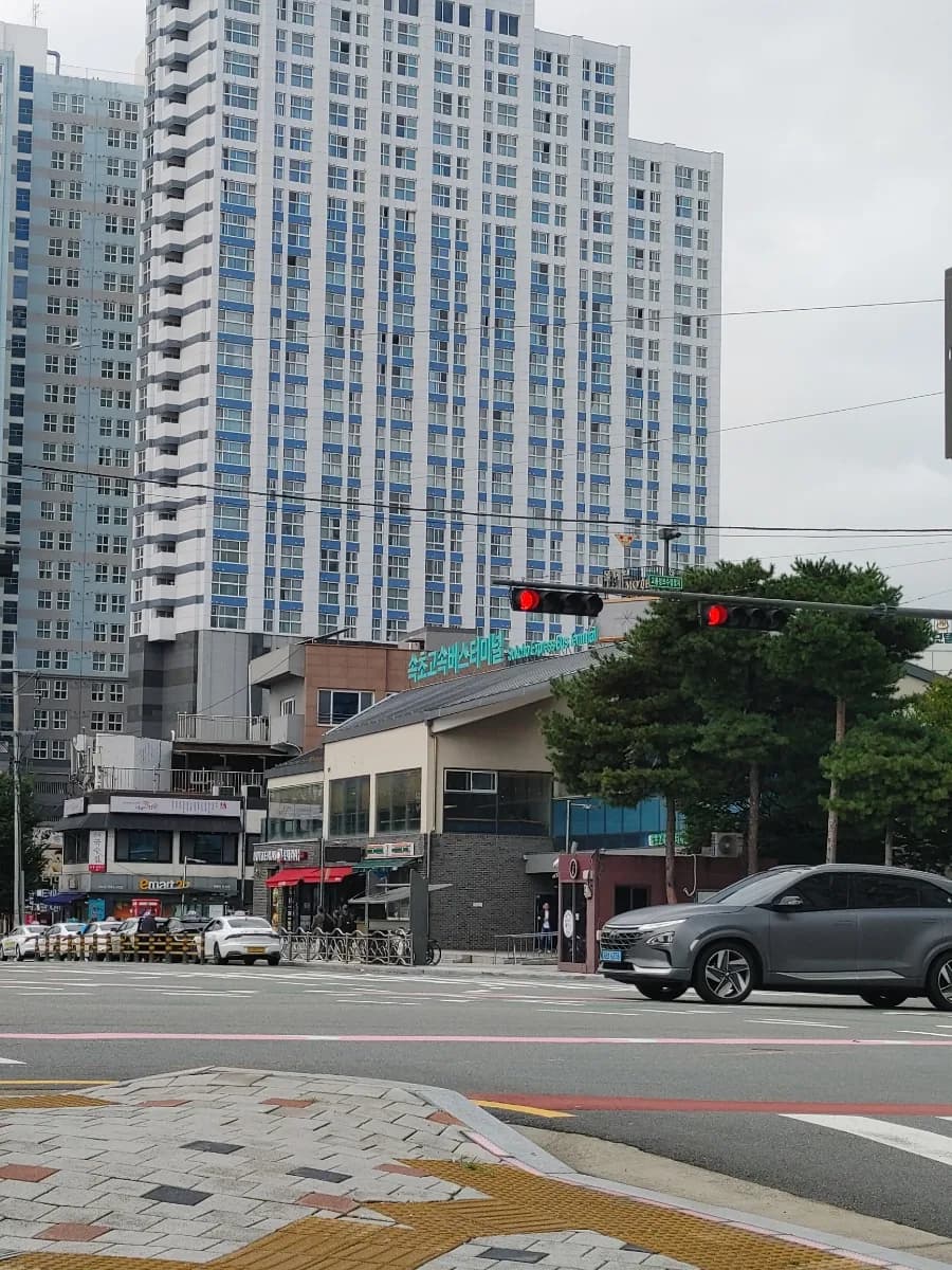 설악산 소공원 단풍 명소 2026: 비 온 뒤 맑은 날, 신흥사 산책 코스