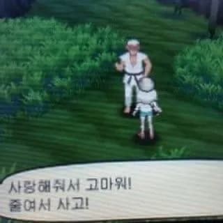 일상 속 소소한 행복 2026: 겨울 추억 & 새해 다짐 총정리