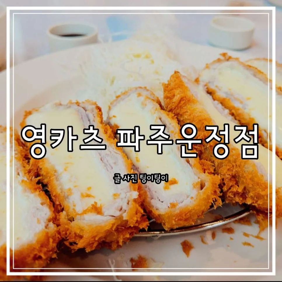 운정 돈까스 맛집 2026: 영카츠 산내마을점 솔직 후기
