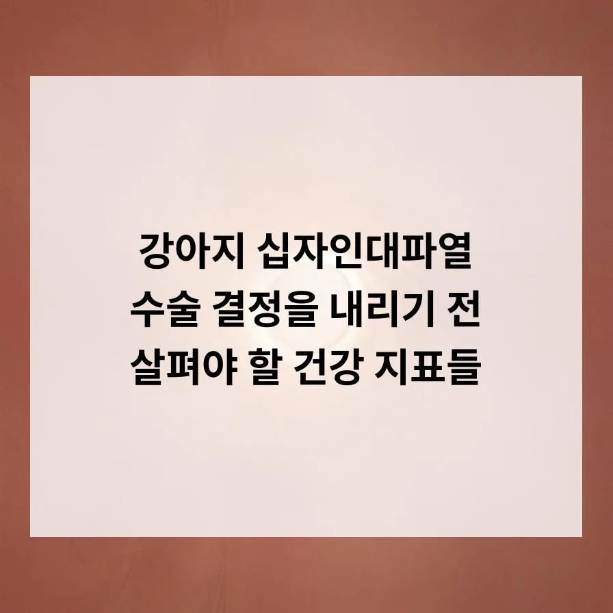 강아지 십자인대파열 수술, 동반 질환 시 우선순위 결정법 2026