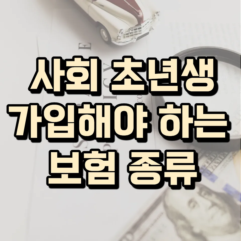 사회초년생 보험 필수 가입 이유와 보장 총정리 (2026년)