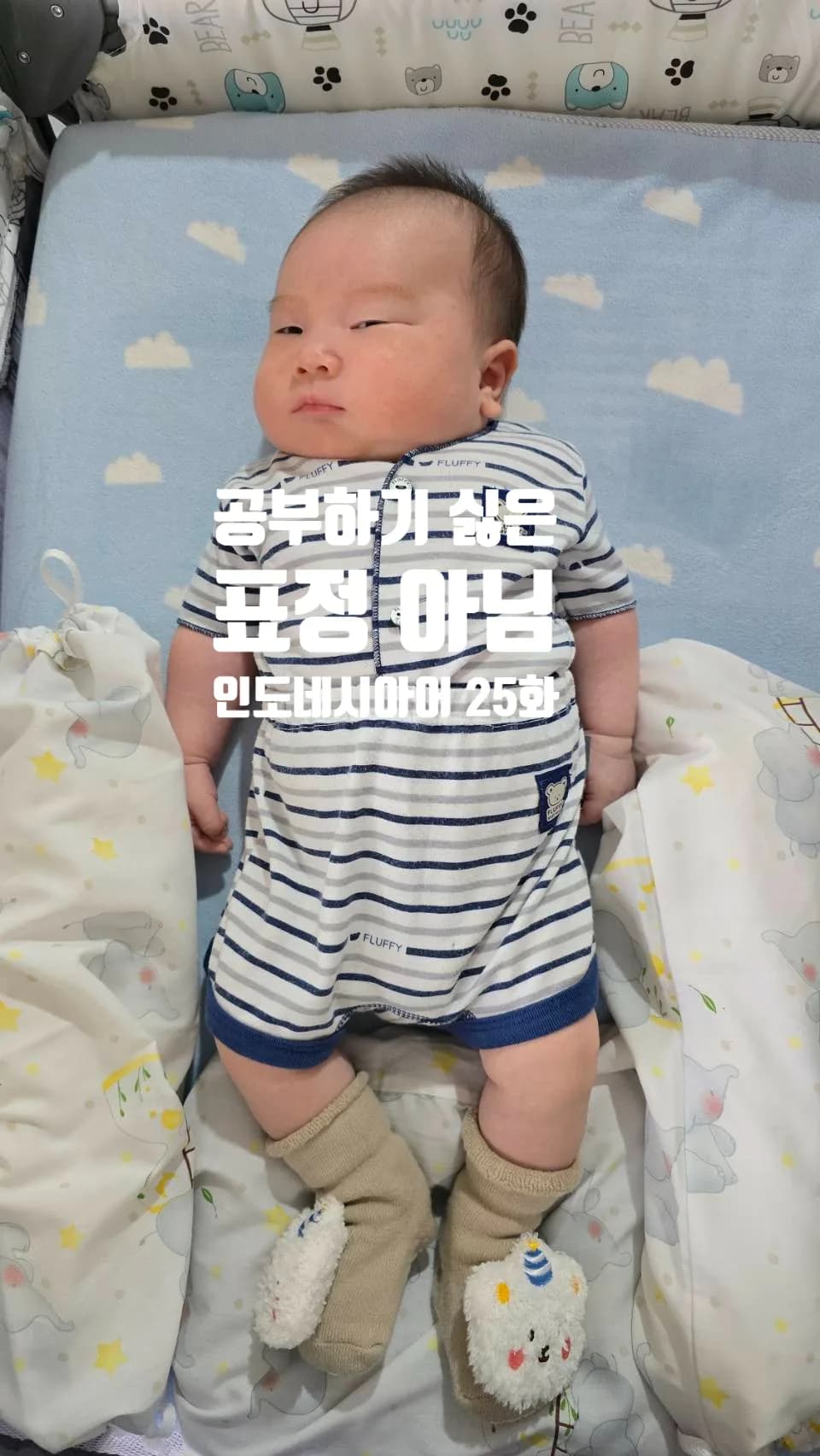 인도네시아어 동사 50개 마스터 2026: 독학 필수 단어 완벽 정리