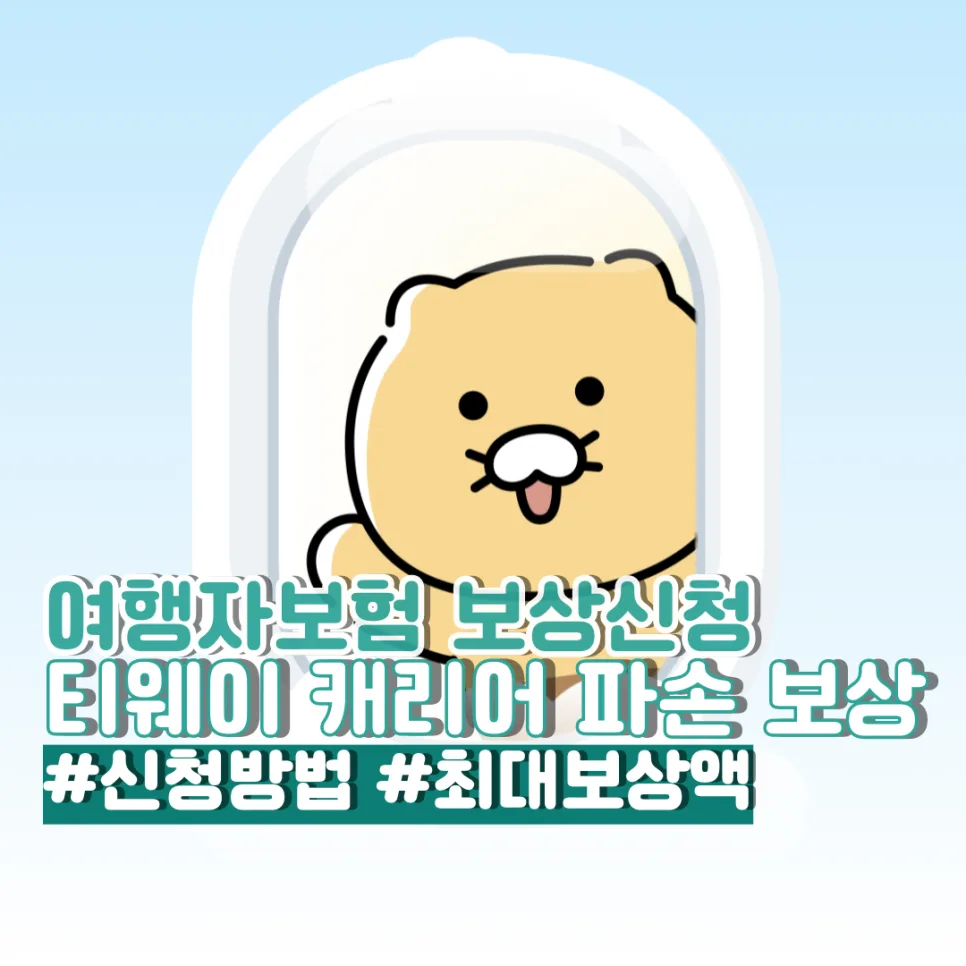 티웨이 항공 캐리어 파손, 카카오뱅크 보험금 청구 완벽 가이드 2026