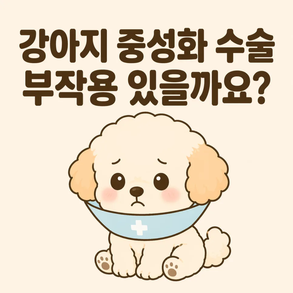 강아지 중성화 수술 부작용 2026년 최신 정보 및 관리법