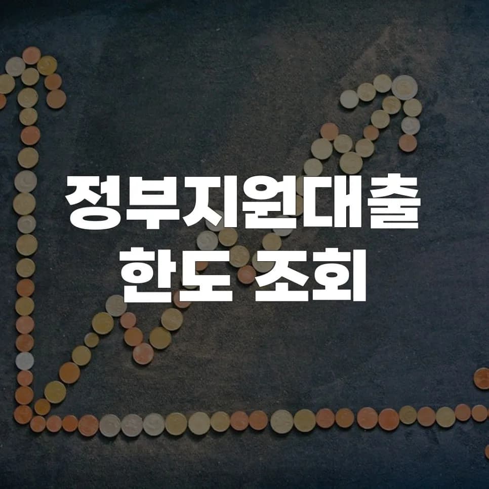 정부지원대출 한도, 2026년 최신 조회 방법 총정리