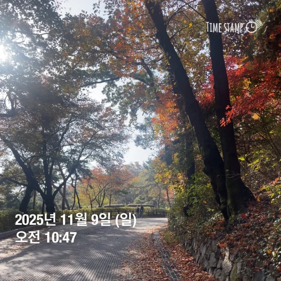 스위치온 다이어트 3일차: 체중 감량 성공 후기 2026