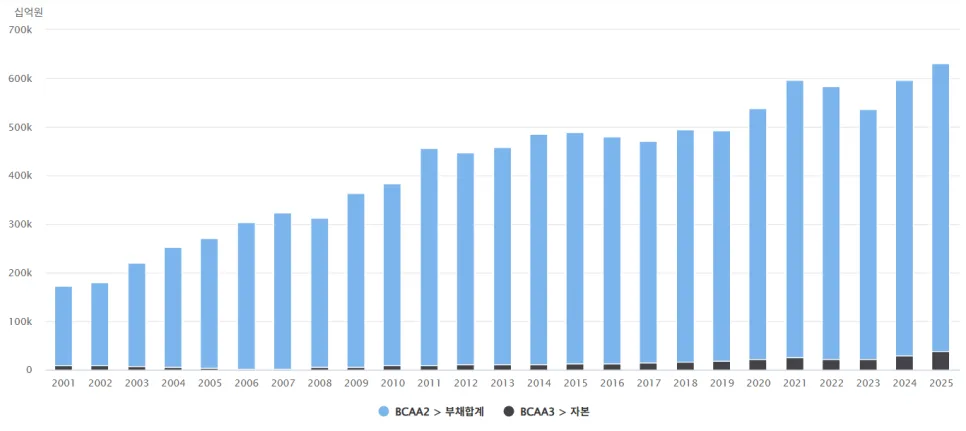 한국은행 대차대조표 2025년 급증 원인 분석