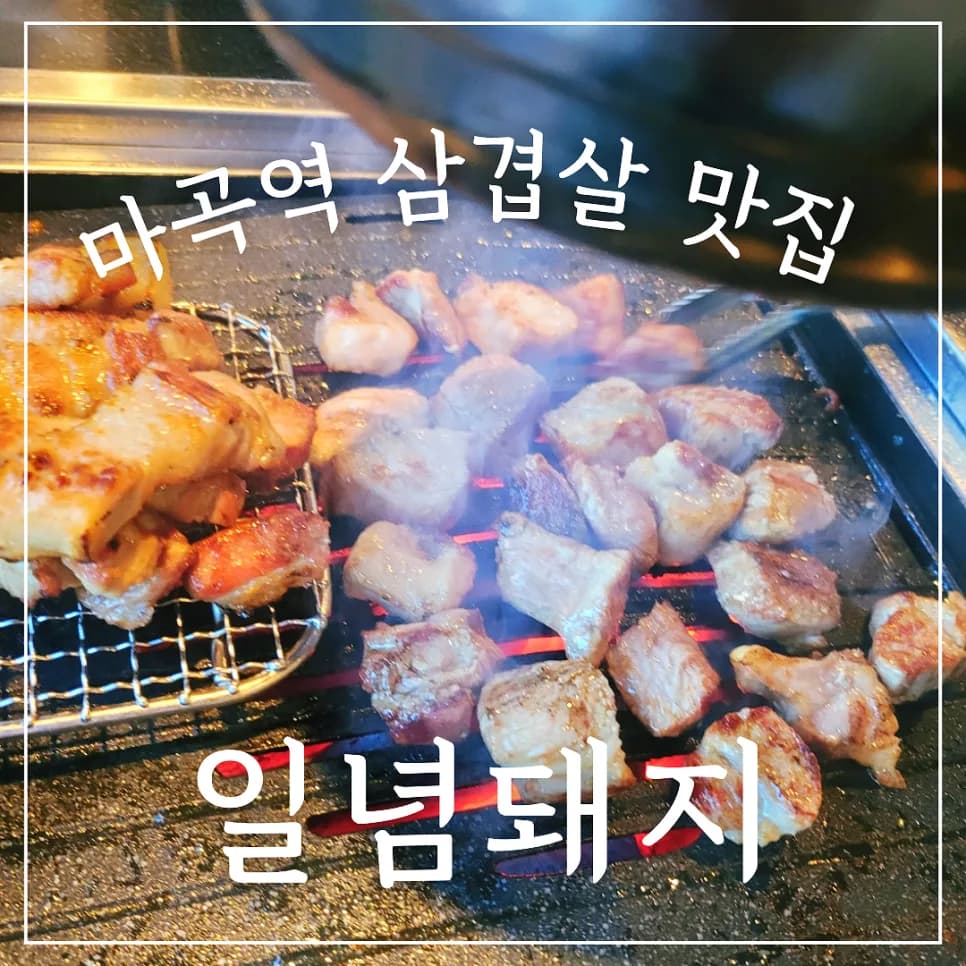 마곡역 고기 맛집 2026: 일념돼지 솔직 방문 후기 및 추천