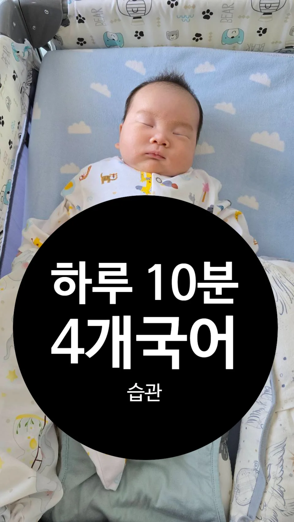 중국어 단어 5개 매일 외우기: 2026년 회화 실력 향상 비법