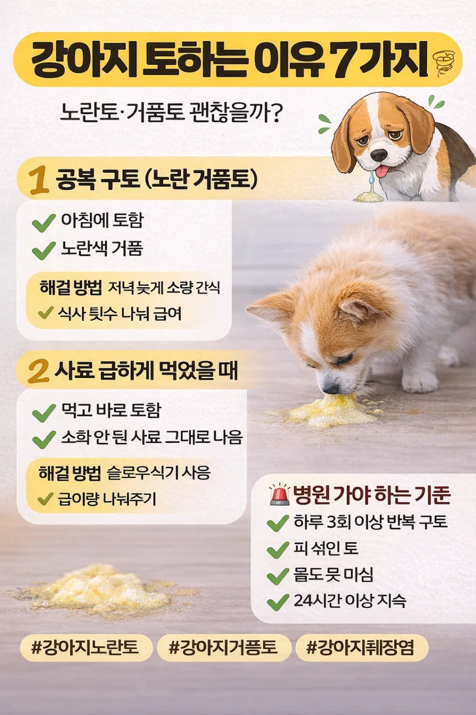 강아지 토하는 이유 2026: 노란토·거품토 원인과 대처법 총정리