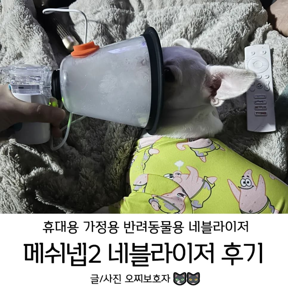 반려동물 네블라이저 메쉬넵2, 2026년 필수 구매 가이드