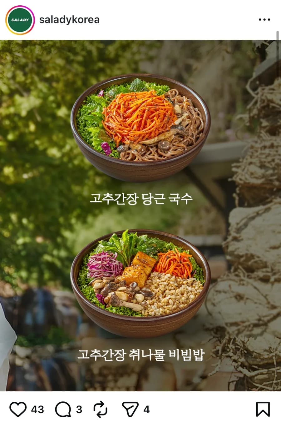 샐러디 선재스님 콜라보 2026: 당근 국수 & 비빔밥 후기