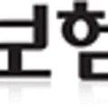 50세도 가입 가능한 '어른이보험' 2026년 총정리: 장단점 분석