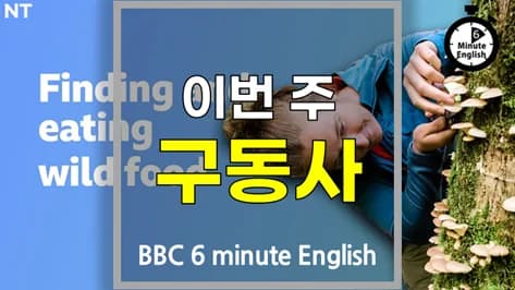 영어 구동사 2026: look for, rely on, work on, stick to, identify with 완벽 정리