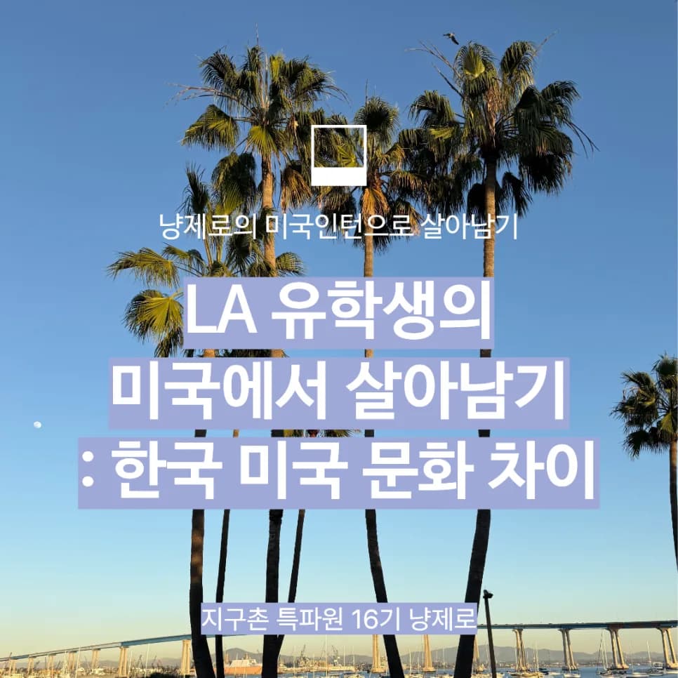 미국 유학생이 겪은 한국과 다른 문화 충격 5가지 2026