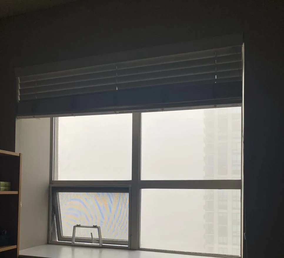 캐나다 D+38~42: 안개 속 행복과 레벨업 도전기 2026