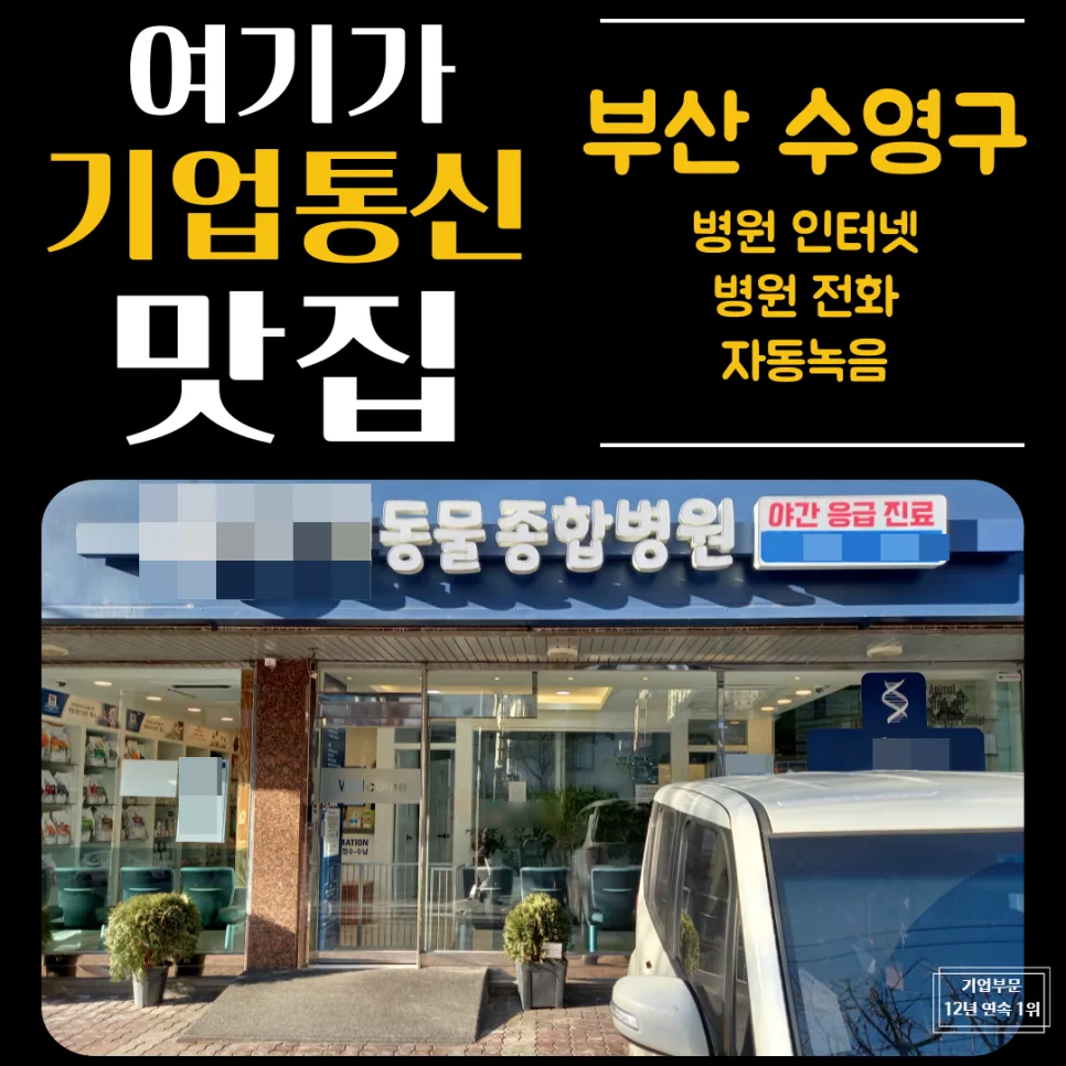 타 통신사도 OK! 레코드온 전화 녹음, 동물병원 설치 후기 2026